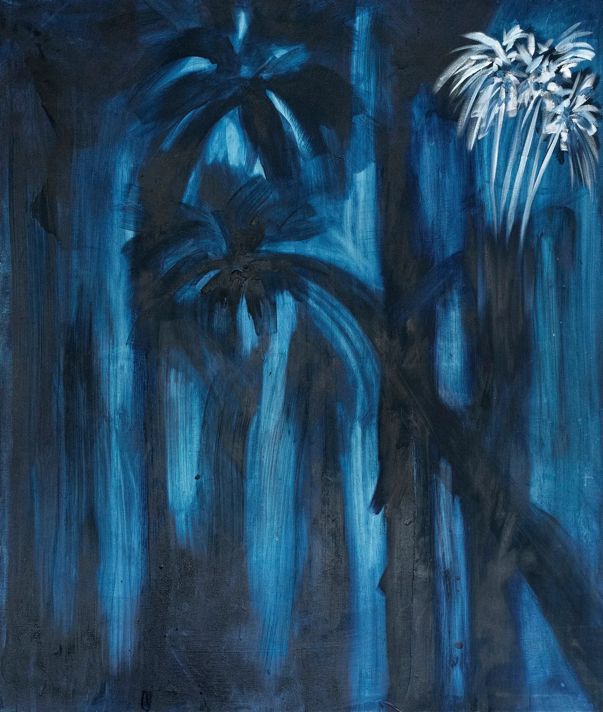 Mystery Palms, from the Palm Trees series by Conor Mccreedy